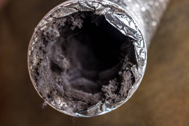Best Best Air Duct Cleaning Company  in West Orange, TX